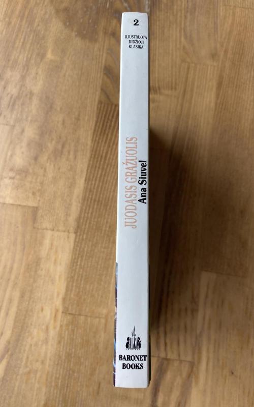 Juodasis Gražuolis - Anna Sewell, knyga 3