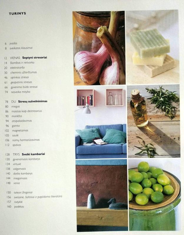 Sveiki namai - Gina Lazenby, knyga 4