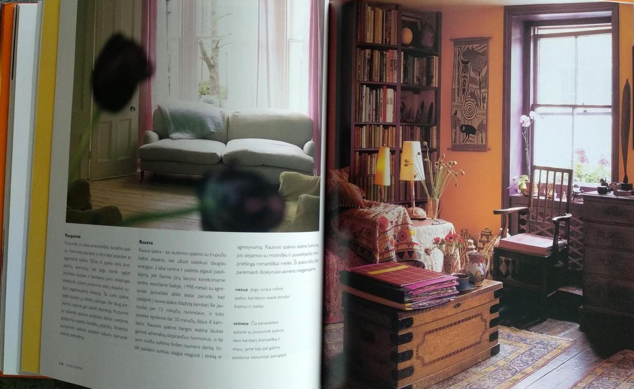 Sveiki namai - Gina Lazenby, knyga 3