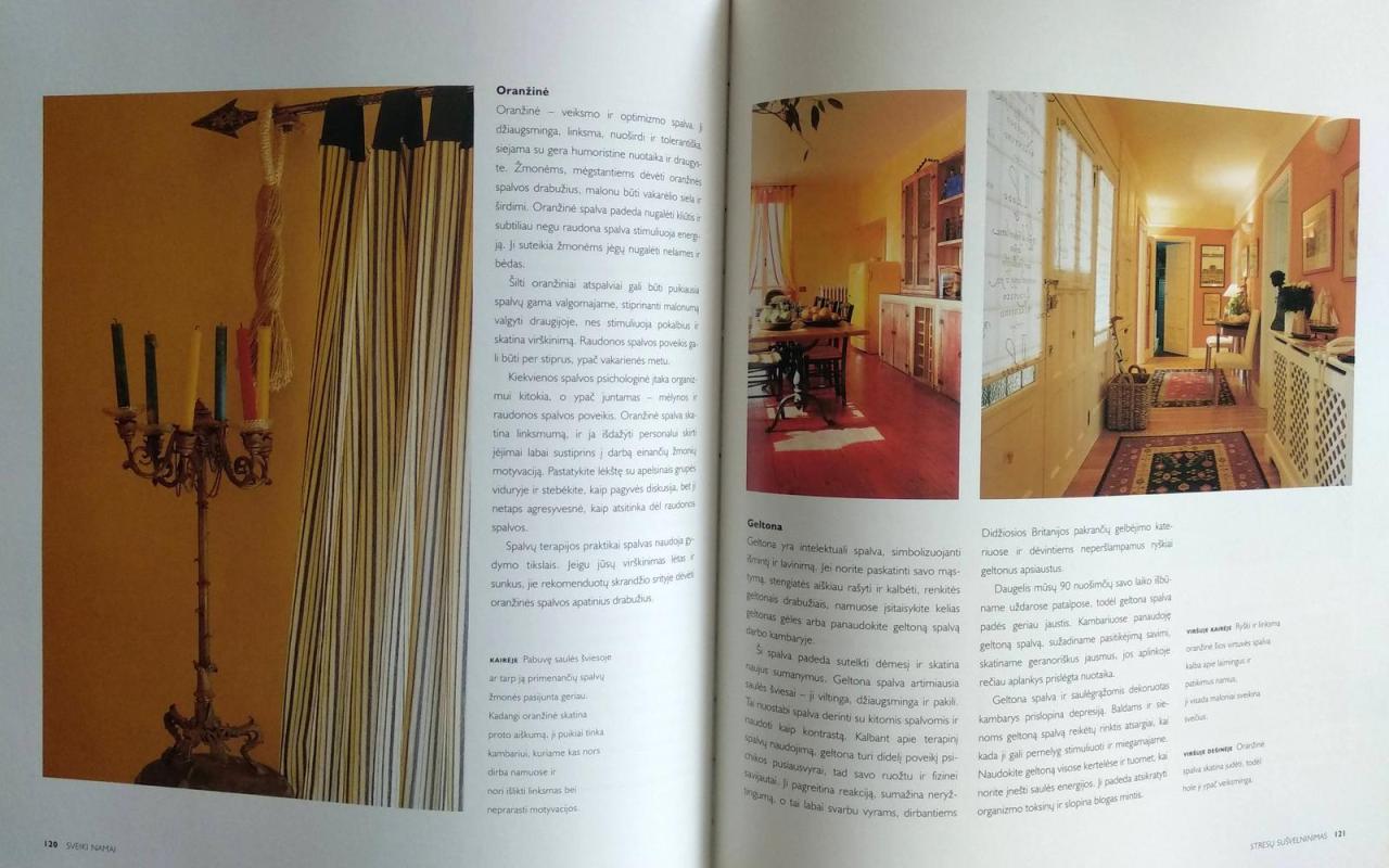 Sveiki namai - Gina Lazenby, knyga 2