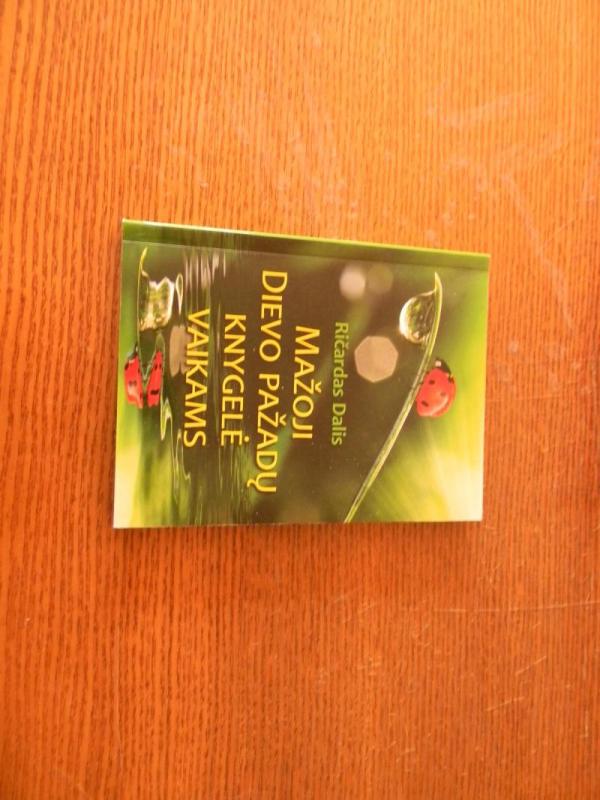 mazoji dievo pazadu knygele vaikams - Autorių Kolektyvas, knyga 3