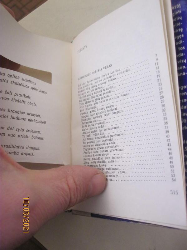 Bundanti žemė - Kazys Jakubėnas, knyga 2