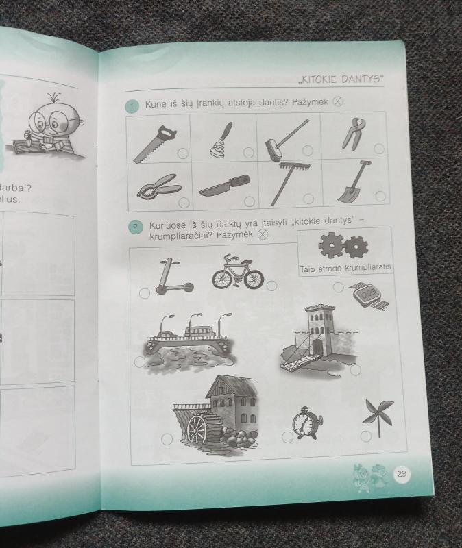 Pasaulis ir aš II kl. 1 d. pratybų sąsiuvinis - Violeta Jonynienė, knyga 4