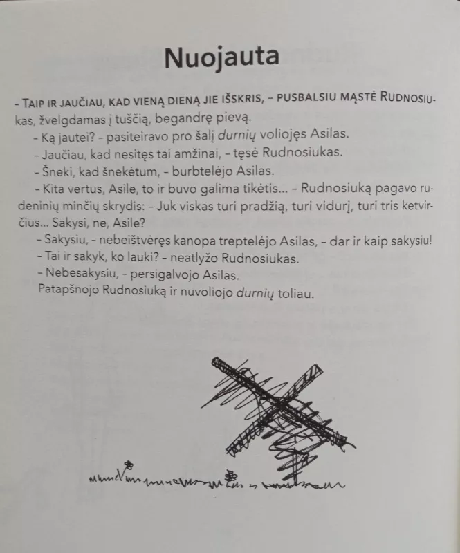 Rudnosiuko raštai - Vytautas Landsbergis, knyga 5
