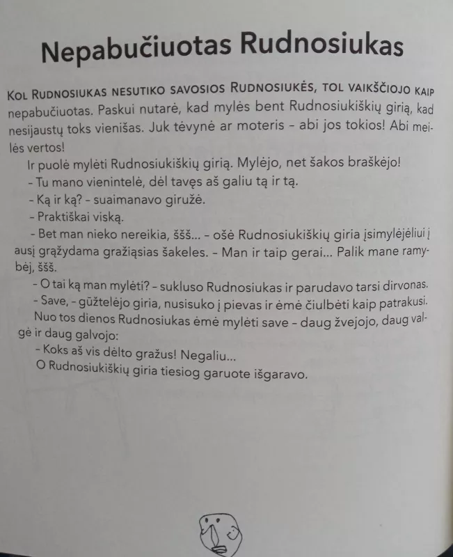 Rudnosiuko raštai - Vytautas Landsbergis, knyga 4