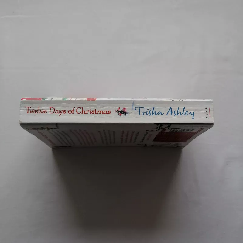 Twelve Days of Christmas - Trisha Ashley, knyga 2