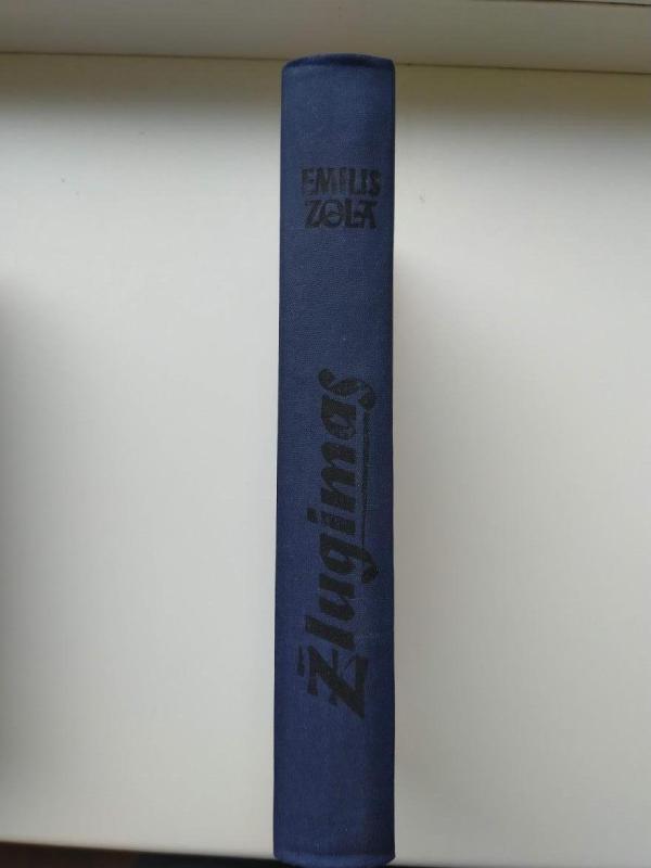 Žlugimas - Emilis Zola, knyga 3