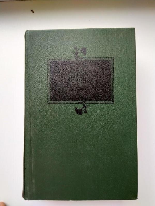 Lenkų-lietuvių kalbų žodynas - V. Vaitkevičiūtė, knyga 4