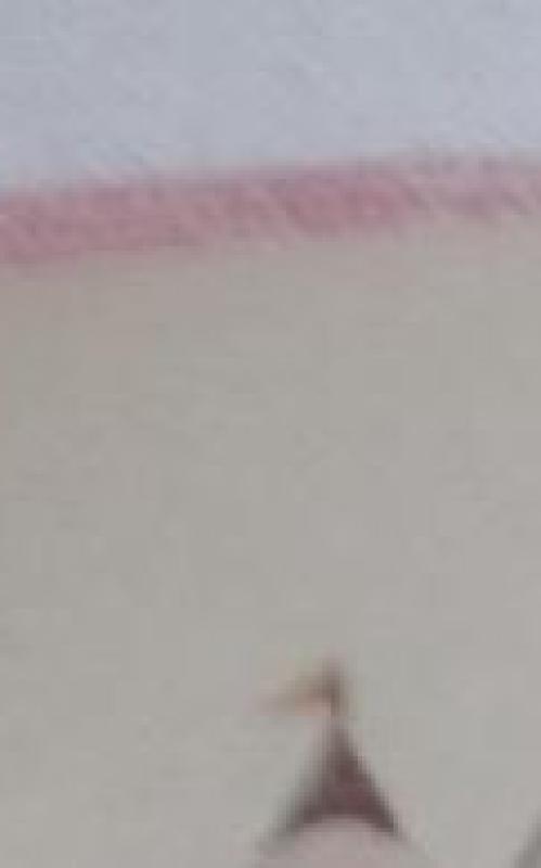 Padišacho duktė ir karžygys - Autorių Kolektyvas, knyga 5