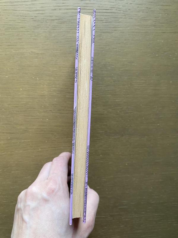 Burtininko skrybėlė - Tuvė Janson, knyga