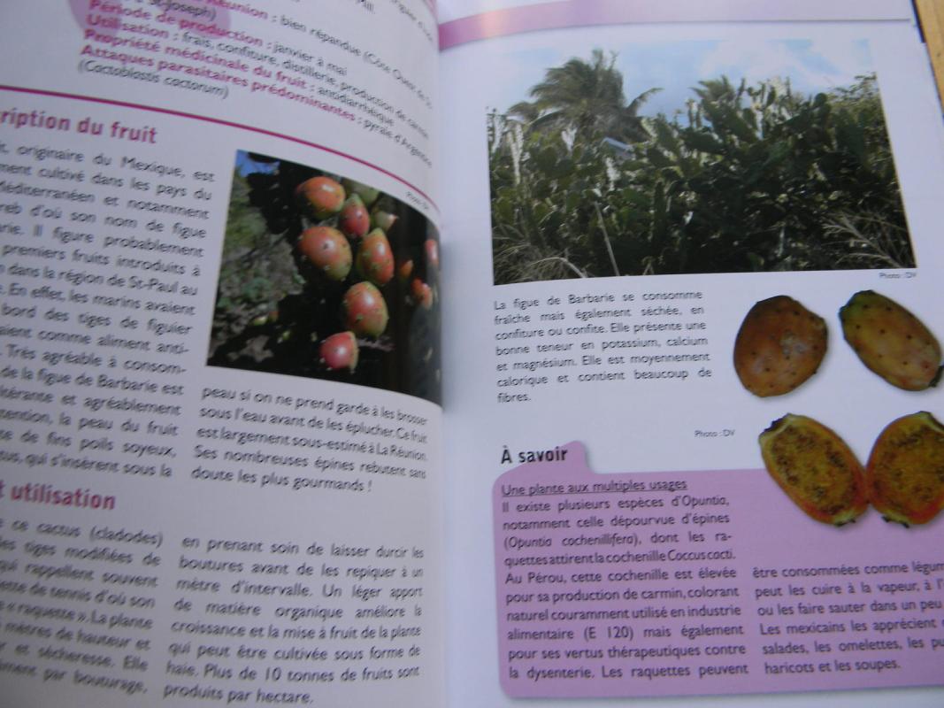 fruits et legumes lontan - Autorių Kolektyvas, knyga 5