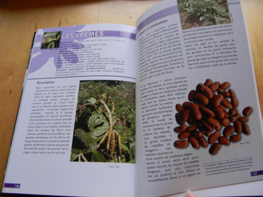 fruits et legumes lontan - Autorių Kolektyvas, knyga 3