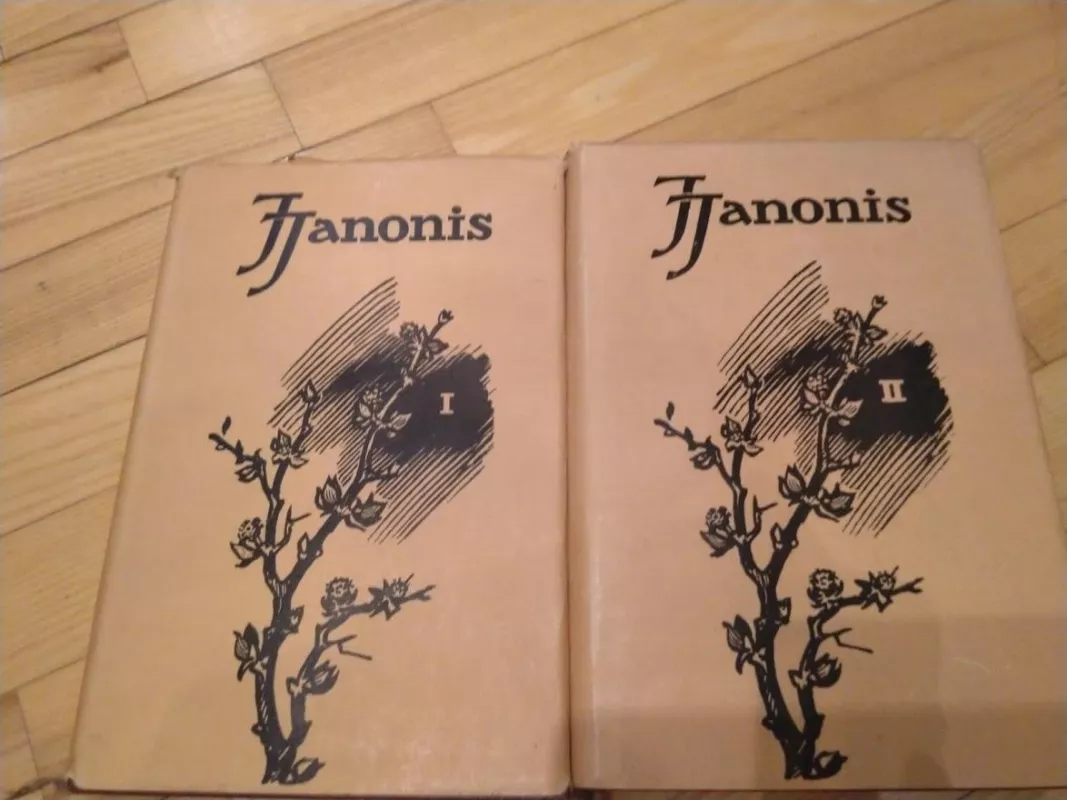 Ra6tai (2 tomai) - Julius Janonis, knyga 3