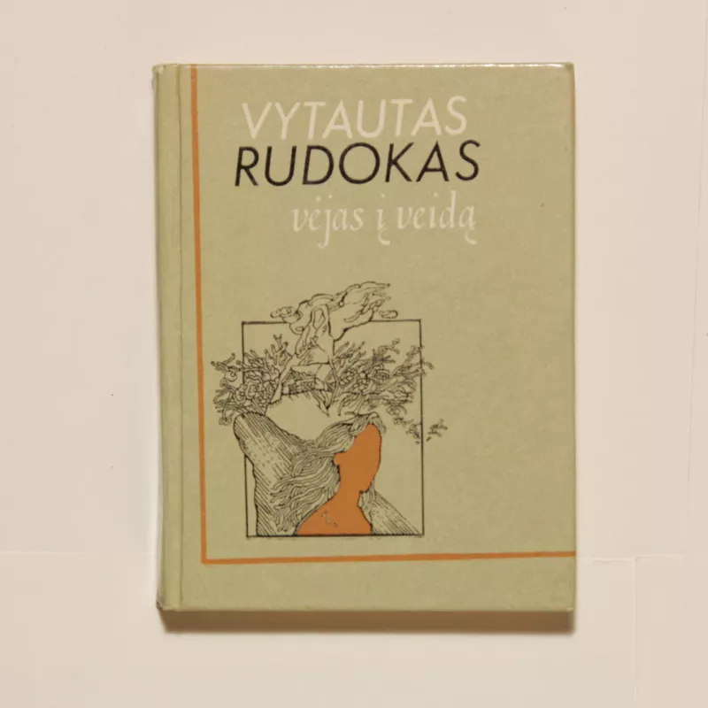 Vėjas į veidą : Eilėraščiai - Vytautas Rudokas, knyga
