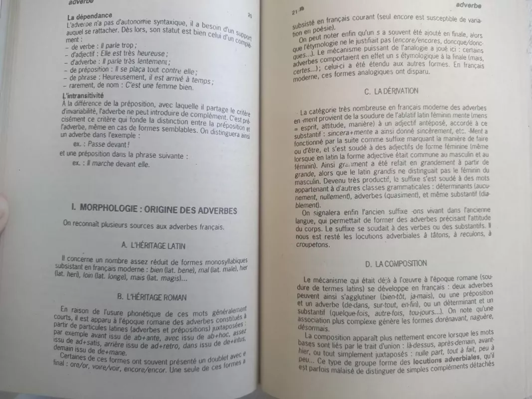 Grammaire du francais - Delphine Denis, knyga