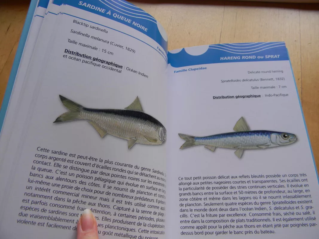 poissons pelagiques - patrick durville, knyga 3