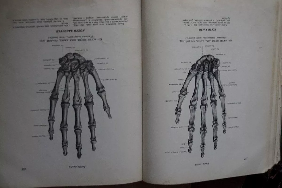 Atlas Anatomii Cheloveka Tom 1 (Russian Edition) - R.D. Sinelnikov, knyga