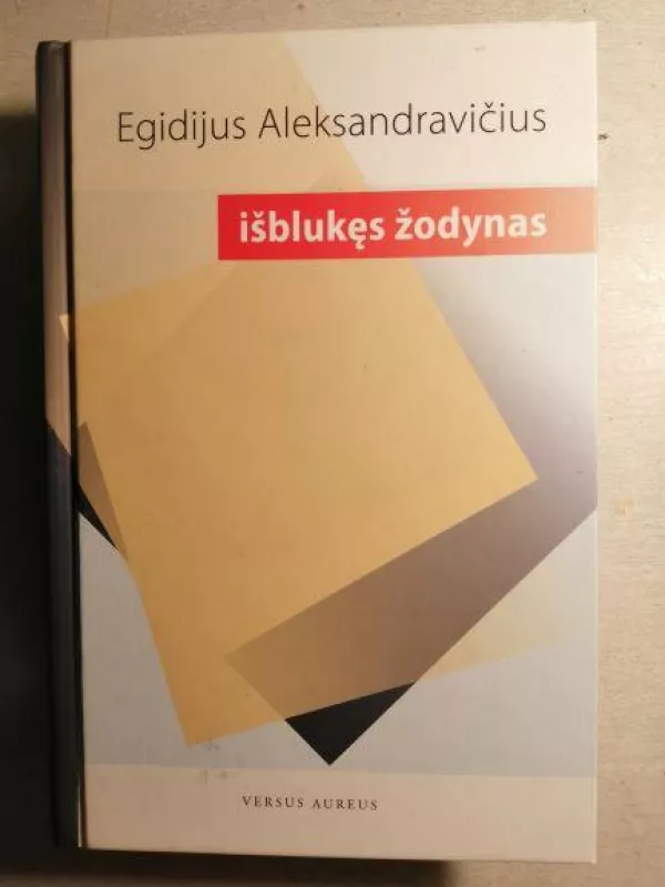 Išblukęs žodynas - Egidijus Aleksandravičius, knyga