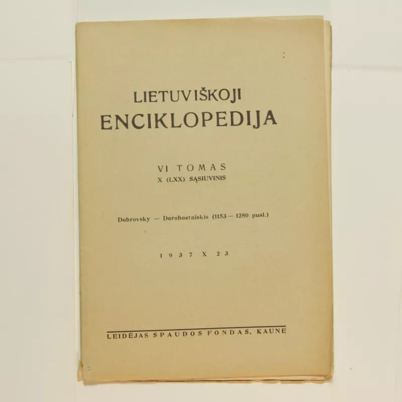 Lietuviškoji enciklopedija (VI tomas X sąsiuvinis) - Vaclovas Biržiška, knyga