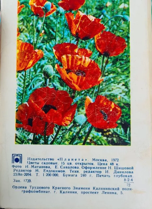 Цветы садовые (открытки) - Autorių Kolektyvas, knyga