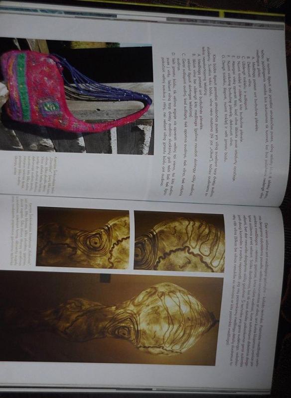 Veltinis - Viltė Kazlauskaitė, knyga 3