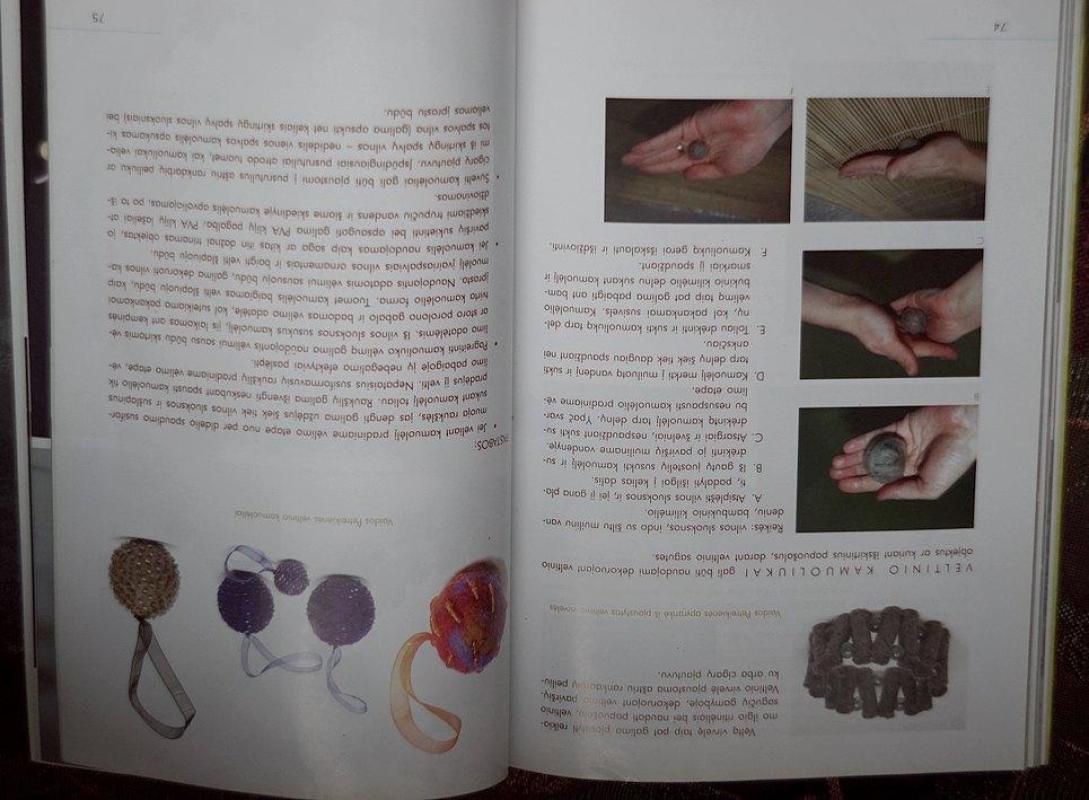 Veltinis - Viltė Kazlauskaitė, knyga 2