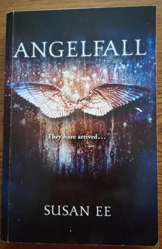 Angelfall - Susan EE, knyga