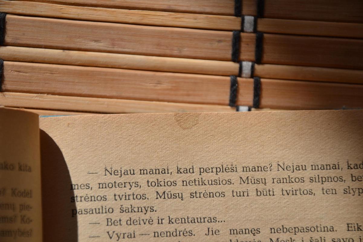 Kentauras - Džonas Apdaikas, knyga