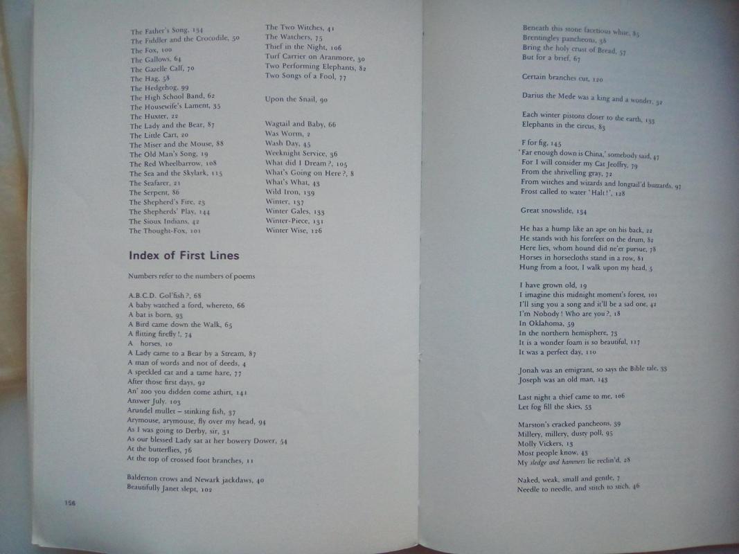 Voices An antology of poetry and pictures - Autorių Kolektyvas, knyga 4