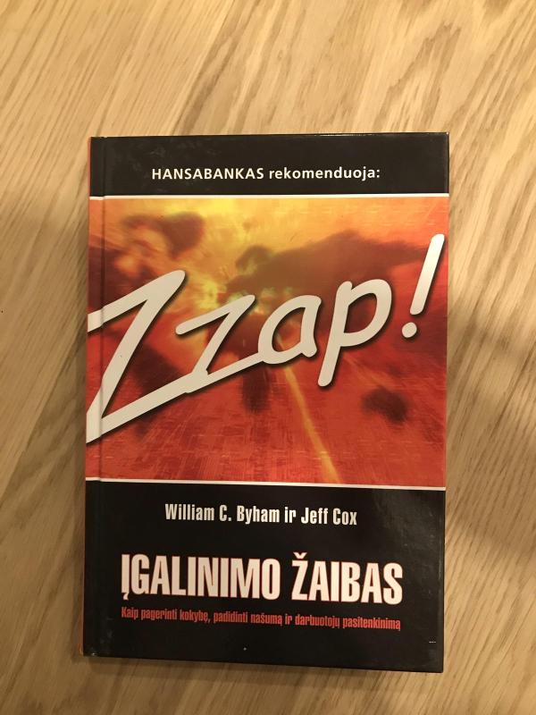 Zzap! Įgalinimo žaibas - William C. Byham, knyga 3