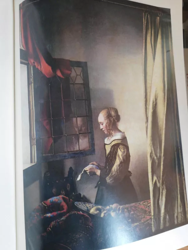 Jan Vermeer. Les grands peintres - Walker Brian Browne, knyga