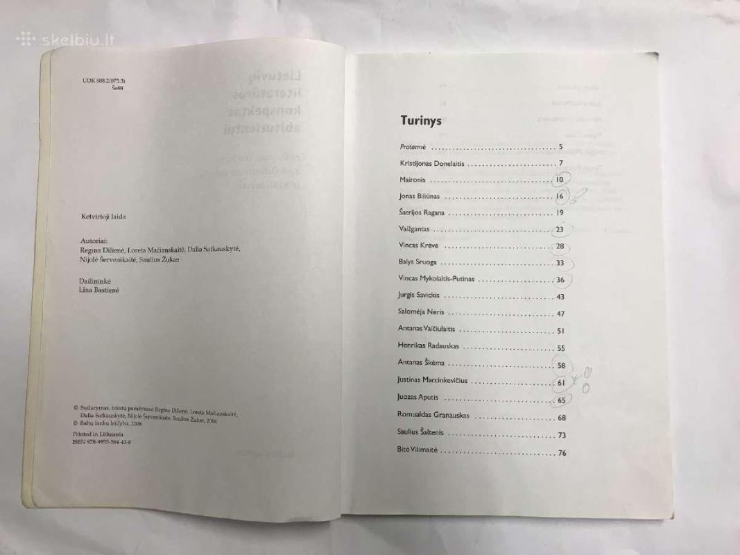 Lietuvių literatūros konspektas abiturientui - Autorių Kolektyvas, knyga 2