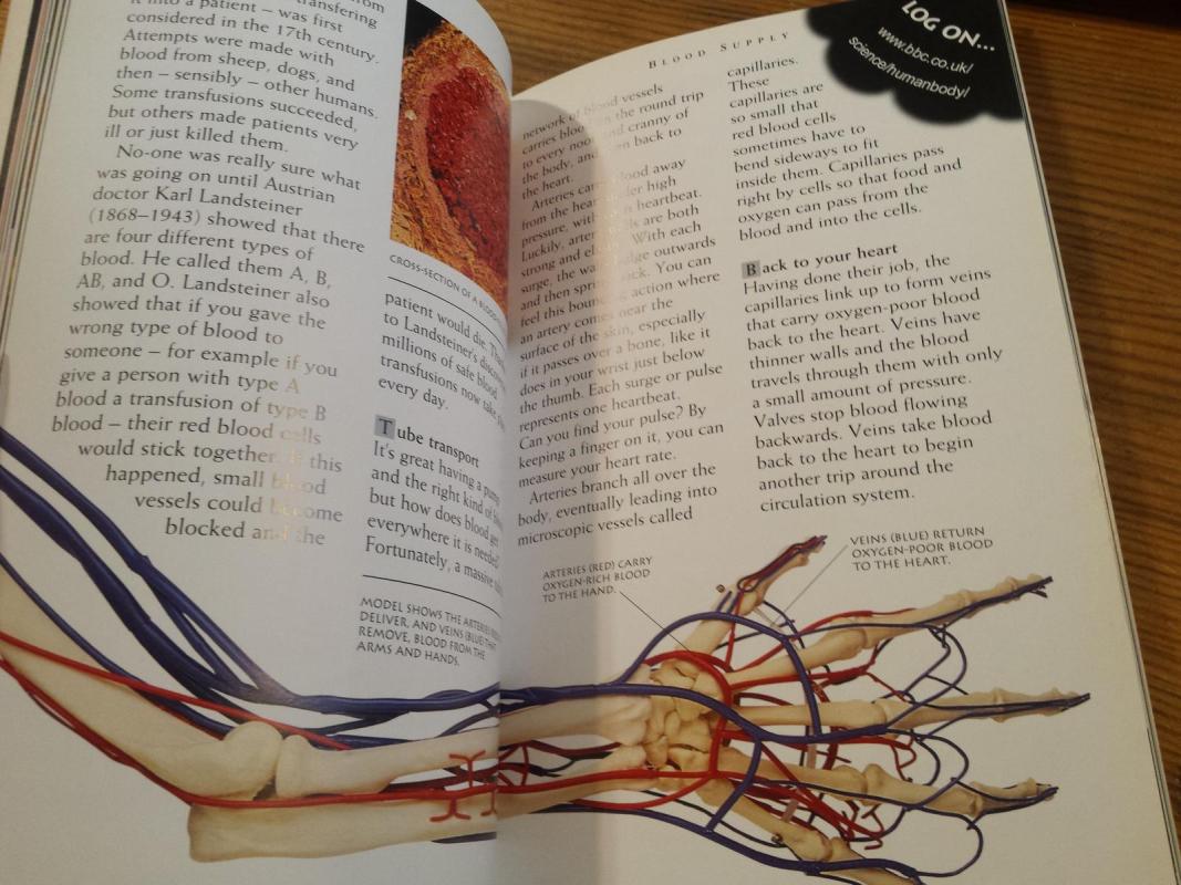 Bodyj - Richard Walker, knyga 4