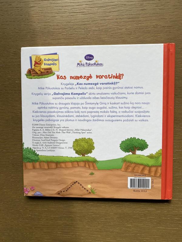 Kas numezgė voratinklį? - Dina Anastasio, knyga