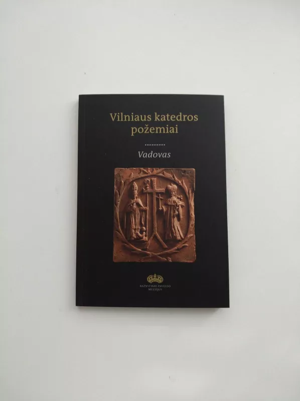 Vilniaus katedros požemiai: vadovas - Sigita Maslauskaitė-Mažylienė, knyga
