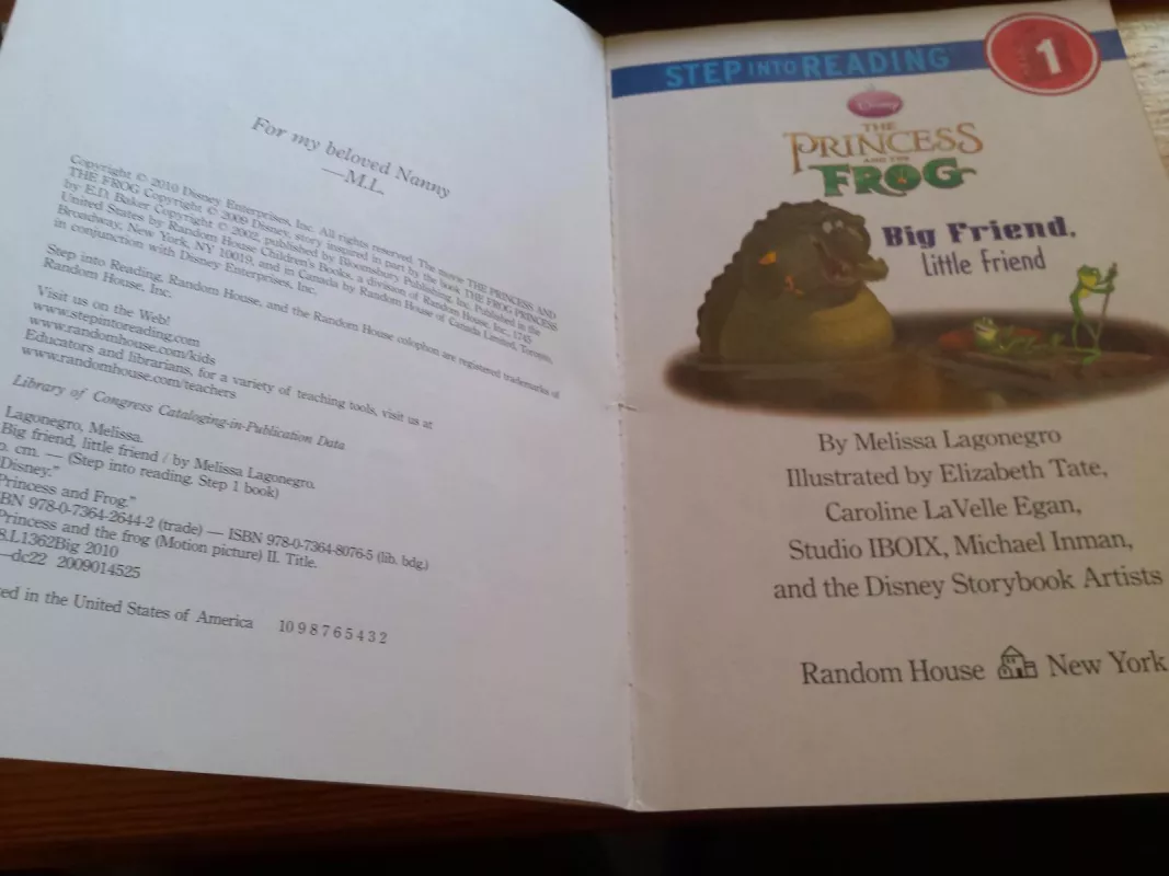 The Princess and the Frog - Autorių Kolektyvas, knyga