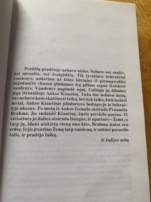 Slaptingoji prema - Vytautas Bubnys, knyga