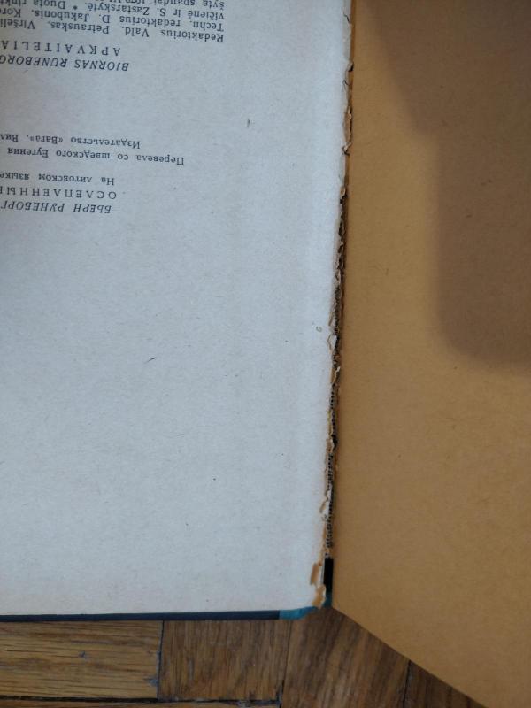 Apkvaitėliai - Bjornas Runeborgas, knyga