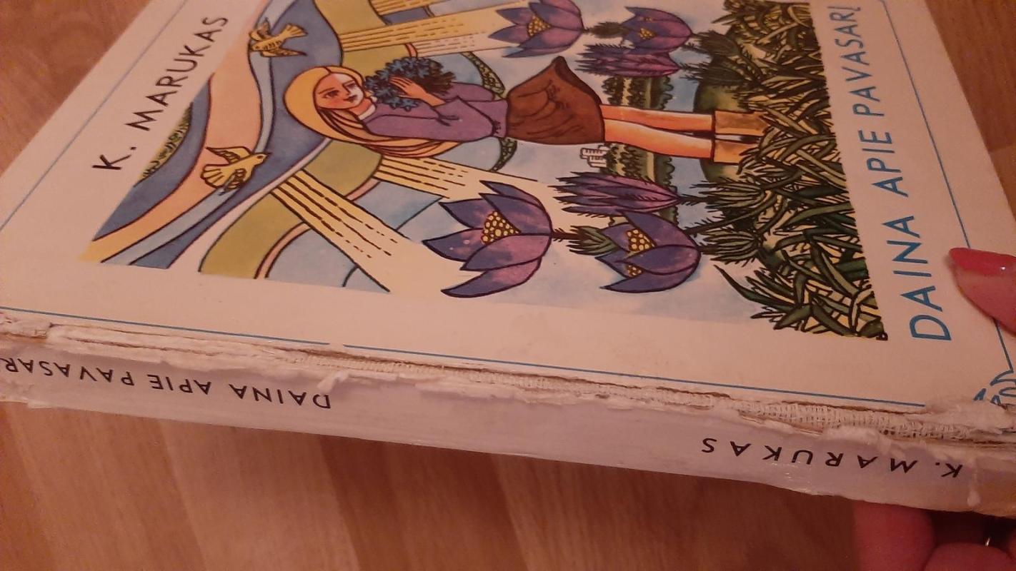 Daina apie pavasarį - K. Marukas, knyga 2