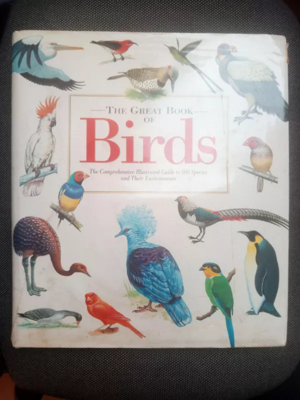 The great book of birds - Autorių Kolektyvas, knyga