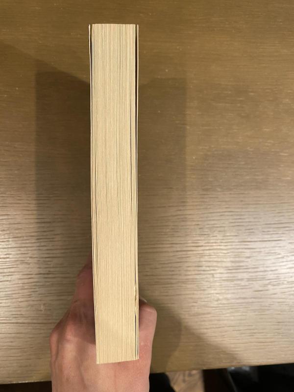 Tamsioji pusė - Stephen King, knyga 4