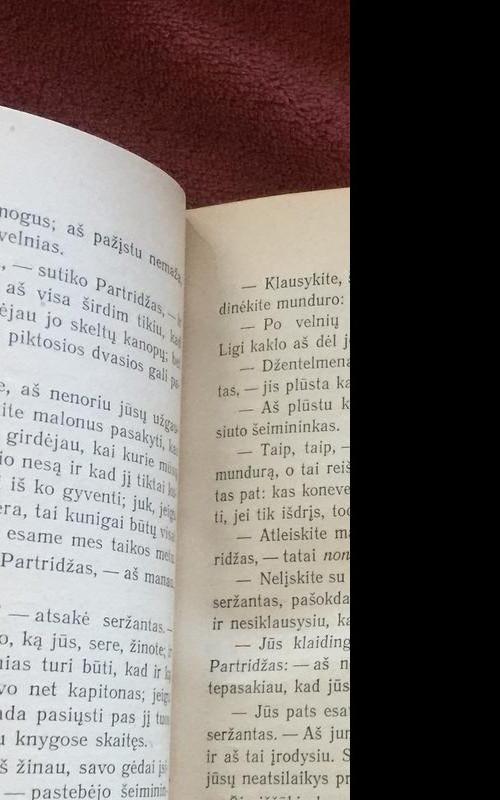 Pamestinuko Tomo Džionso istorija (II tomai) - Henris Fildingas, knyga 3
