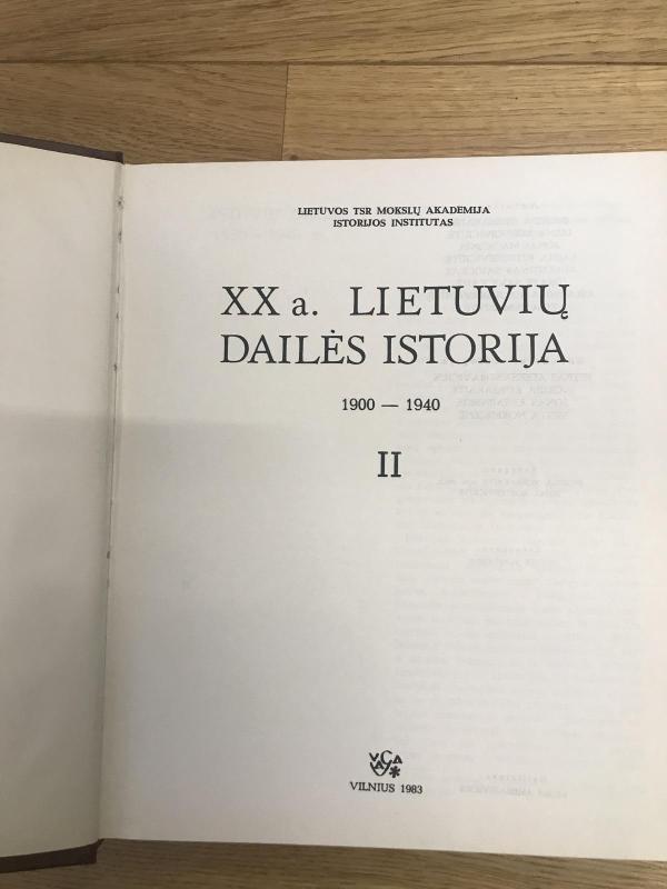 20 a.Lietuvių dailės istorija - Autorių Kolektyvas, knyga 2