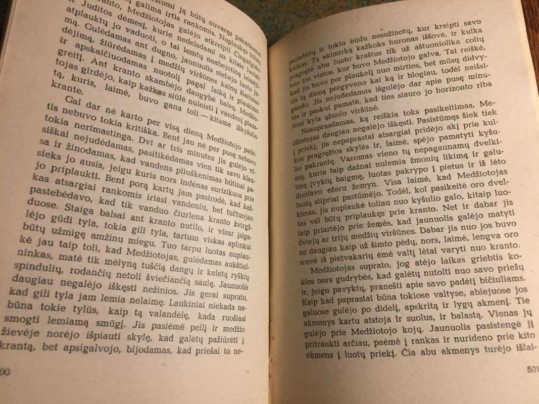 Medžiotojas - Kuperis Džeimsas, knyga 3