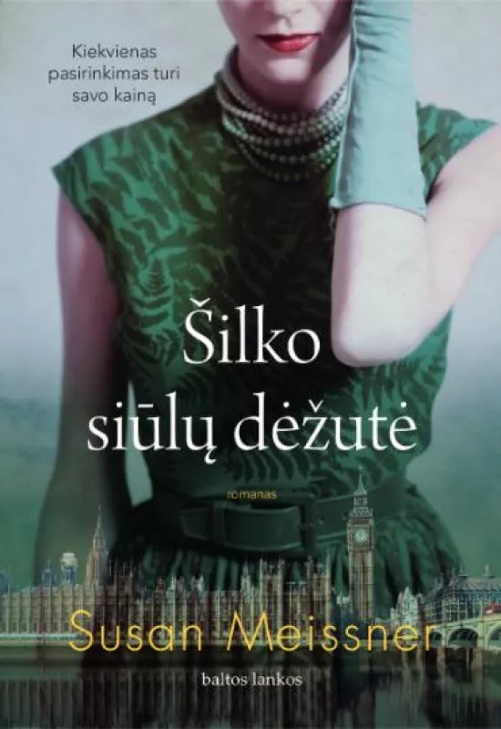 Šilko siūlų dėžutė - Susan Meissner, knyga