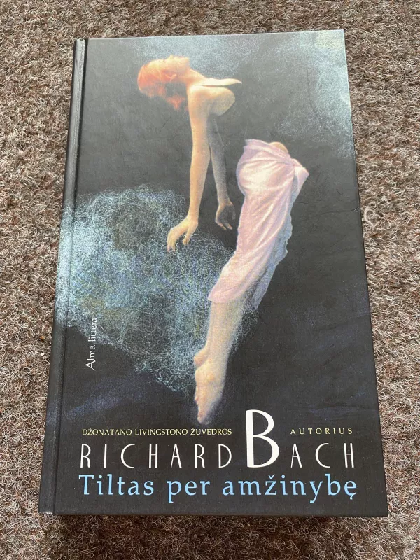Tiltas per amžinybę - Richard Bach, knyga 4