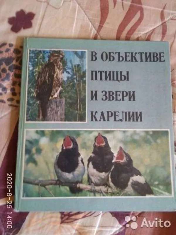 В объективе птицы и звери Карелии - Петр Иванович Данилов, knyga