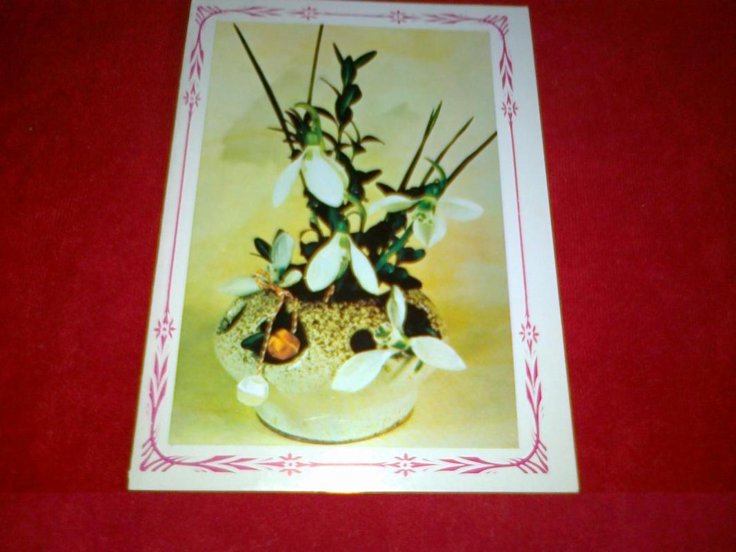 Atvirukas su pavasario gėlėmis - Сн. Даниела Гочева, knyga 3