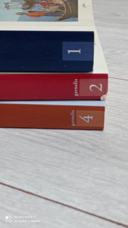 Pelėdų kalvos paslaptis. Pagrobimas - Enid Blyton, knyga 2