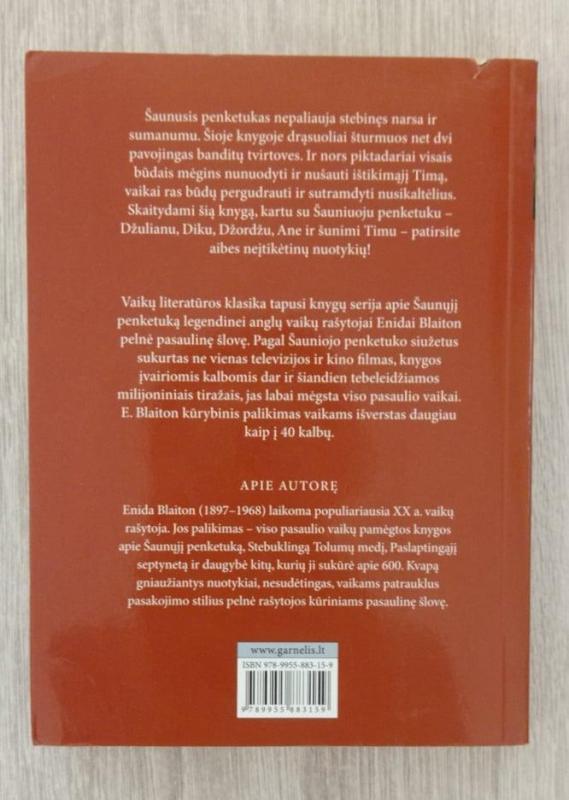 Pelėdų kalvos paslaptis. Pagrobimas - Enid Blyton, knyga 5